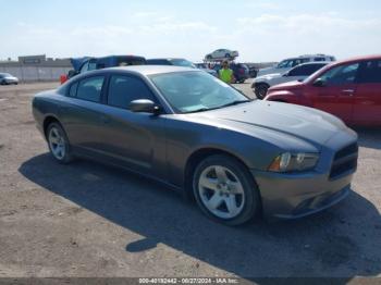  Salvage Dodge Charger