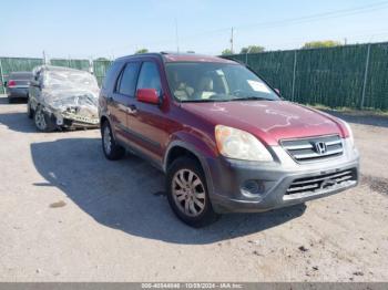  Salvage Honda CR-V