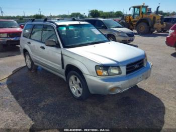  Salvage Subaru Forester