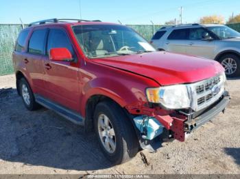  Salvage Ford Escape