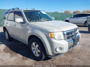  Salvage Ford Escape