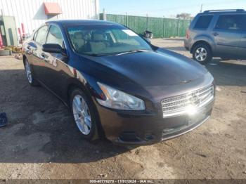  Salvage Nissan Maxima