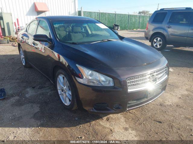  Salvage Nissan Maxima