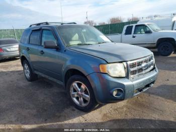  Salvage Ford Escape