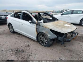  Salvage Hyundai SONATA