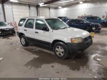  Salvage Ford Escape