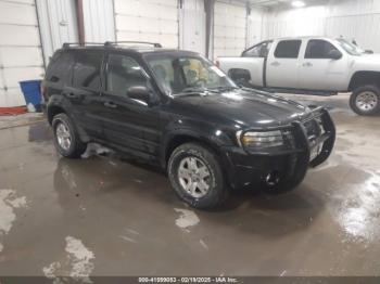  Salvage Ford Escape