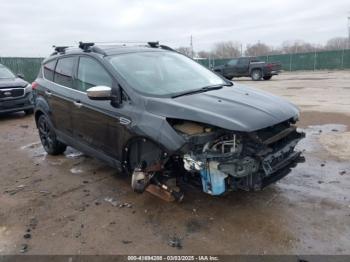  Salvage Ford Escape