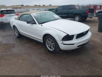  Salvage Ford Mustang