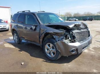  Salvage Ford Escape
