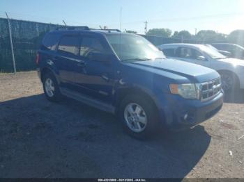  Salvage Ford Escape
