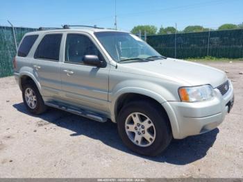  Salvage Ford Escape
