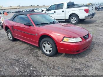  Salvage Ford Mustang