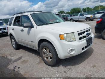  Salvage Ford Escape