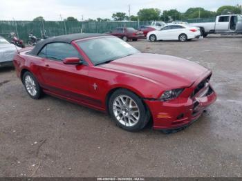  Salvage Ford Mustang