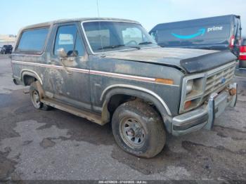  Salvage Ford Bronco