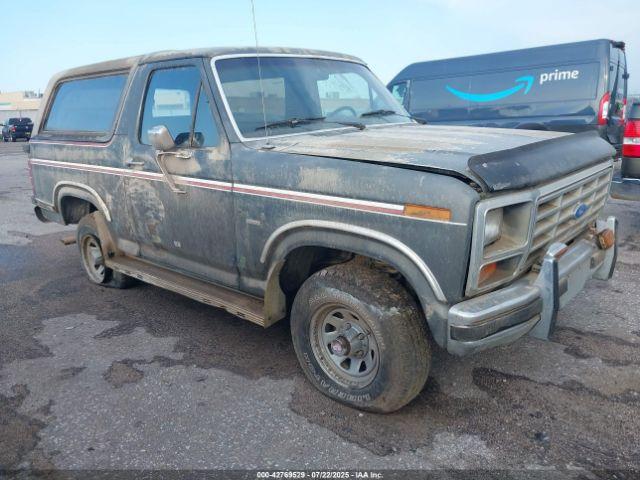  Salvage Ford Bronco