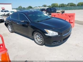  Salvage Nissan Maxima