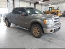 Ford F-150 Xlt Image 1