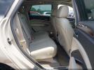 Cadillac SRX Luxury Collection Image 10