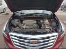 Cadillac XT5 Luxury Image 7