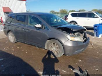 Salvage Honda Odyssey