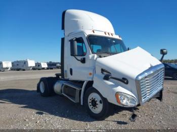  Salvage Freightliner Cascadia 113