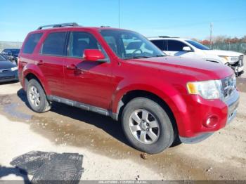  Salvage Ford Escape