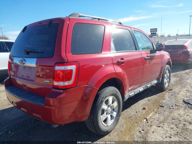 Ford Escape Limited Image 6