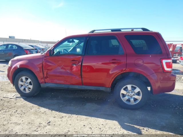 Ford Escape Limited Image 10