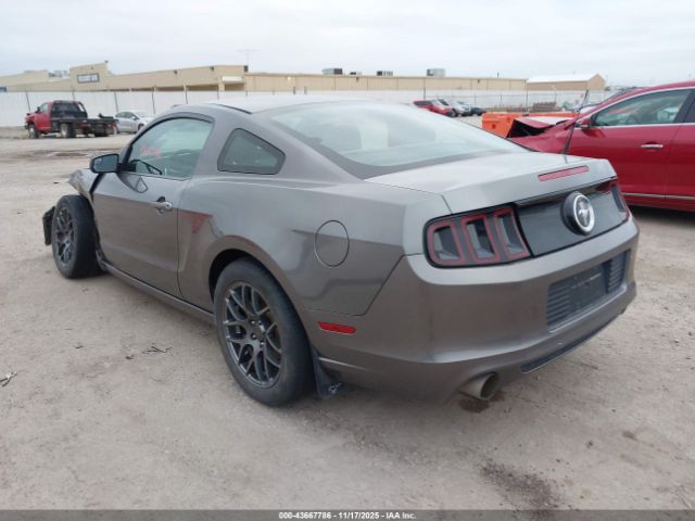 Ford Mustang V6 Image 3