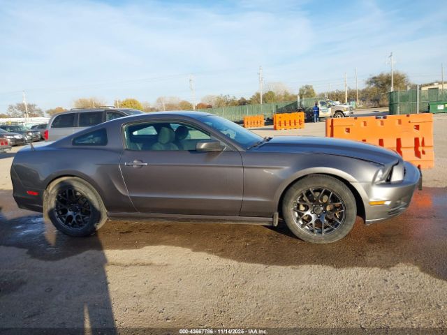 Ford Mustang V6 Image 9