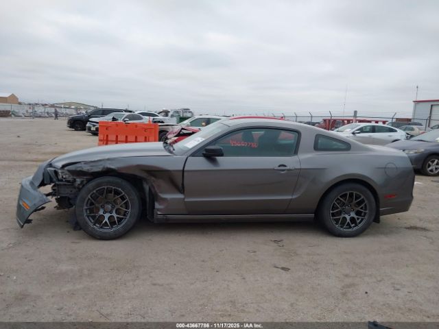 Ford Mustang V6 Image 16