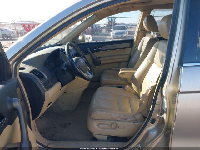 Honda CR-V Ex-l Image 2