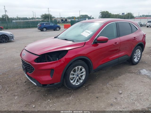 Ford Escape Se Image 8