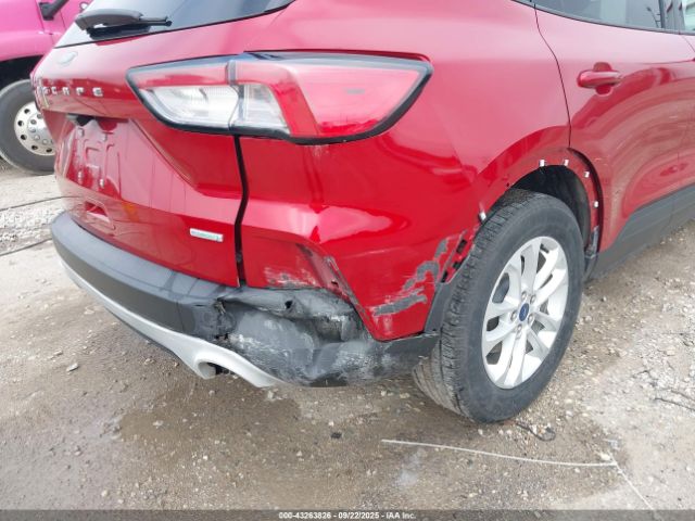 Ford Escape Se Image 12