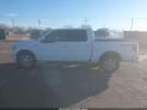 Ford F-150 Fx2 Image 14