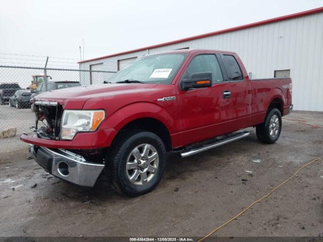 Ford F-150 Xlt Image 8