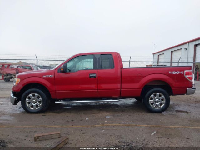 Ford F-150 Xlt Image 12
